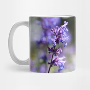 Honig Biene & Ziel im Auge / Swiss Artwork Photography Mug